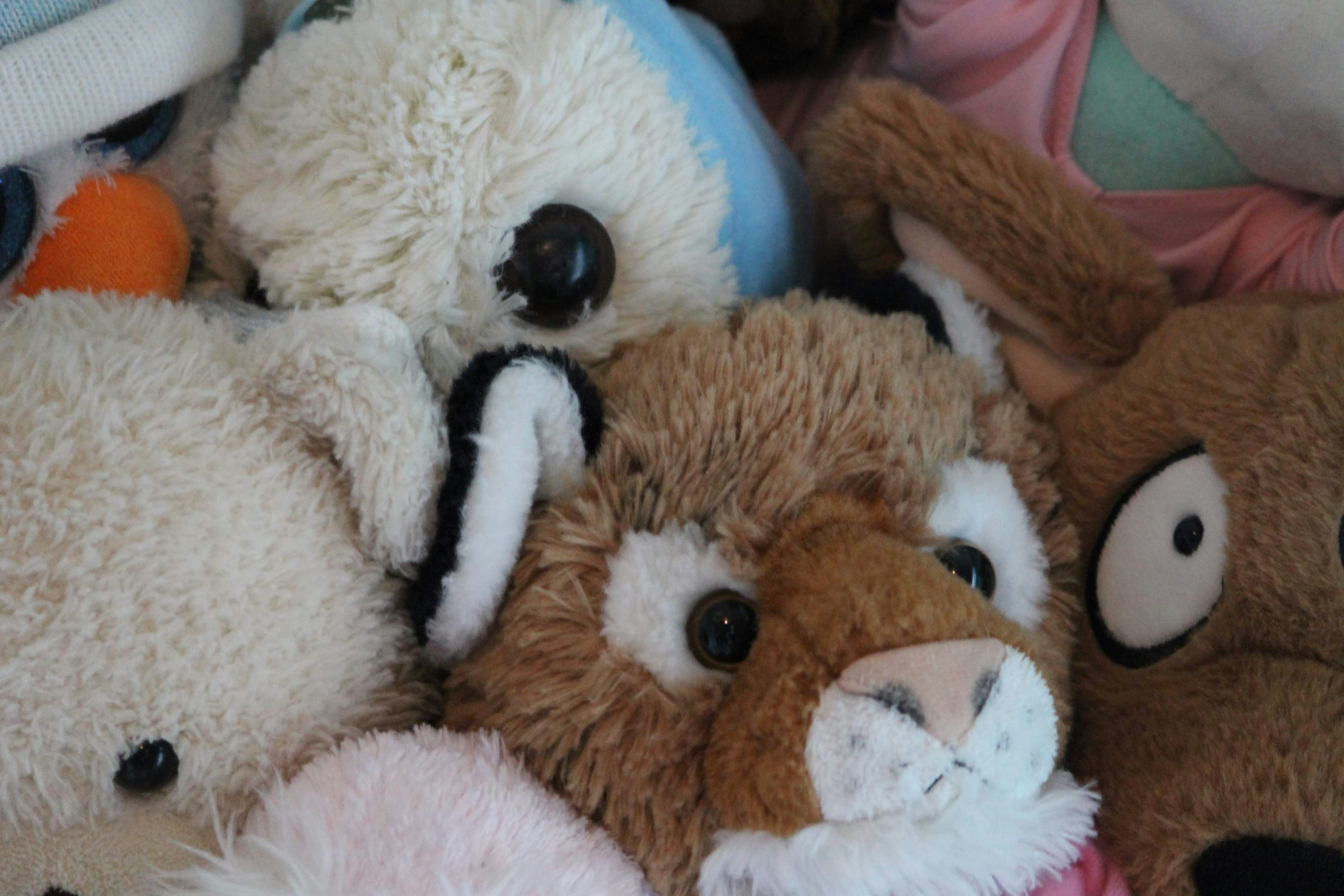 Plush teddy bears